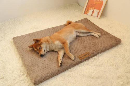 Cuccia Nuvola in Memory Foam