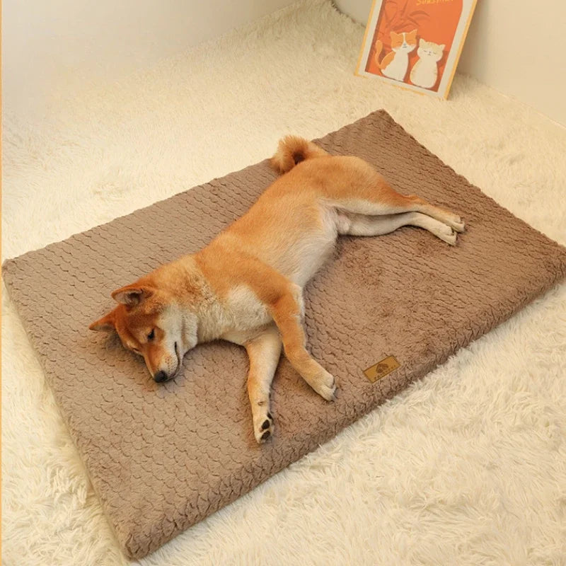 Cuccia Nuvola in Memory Foam