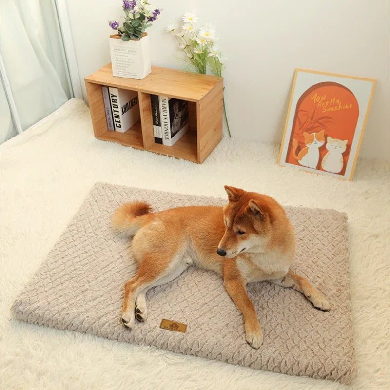 Cuccia Nuvola in Memory Foam