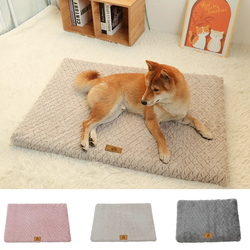 Cuccia Nuvola in Memory Foam