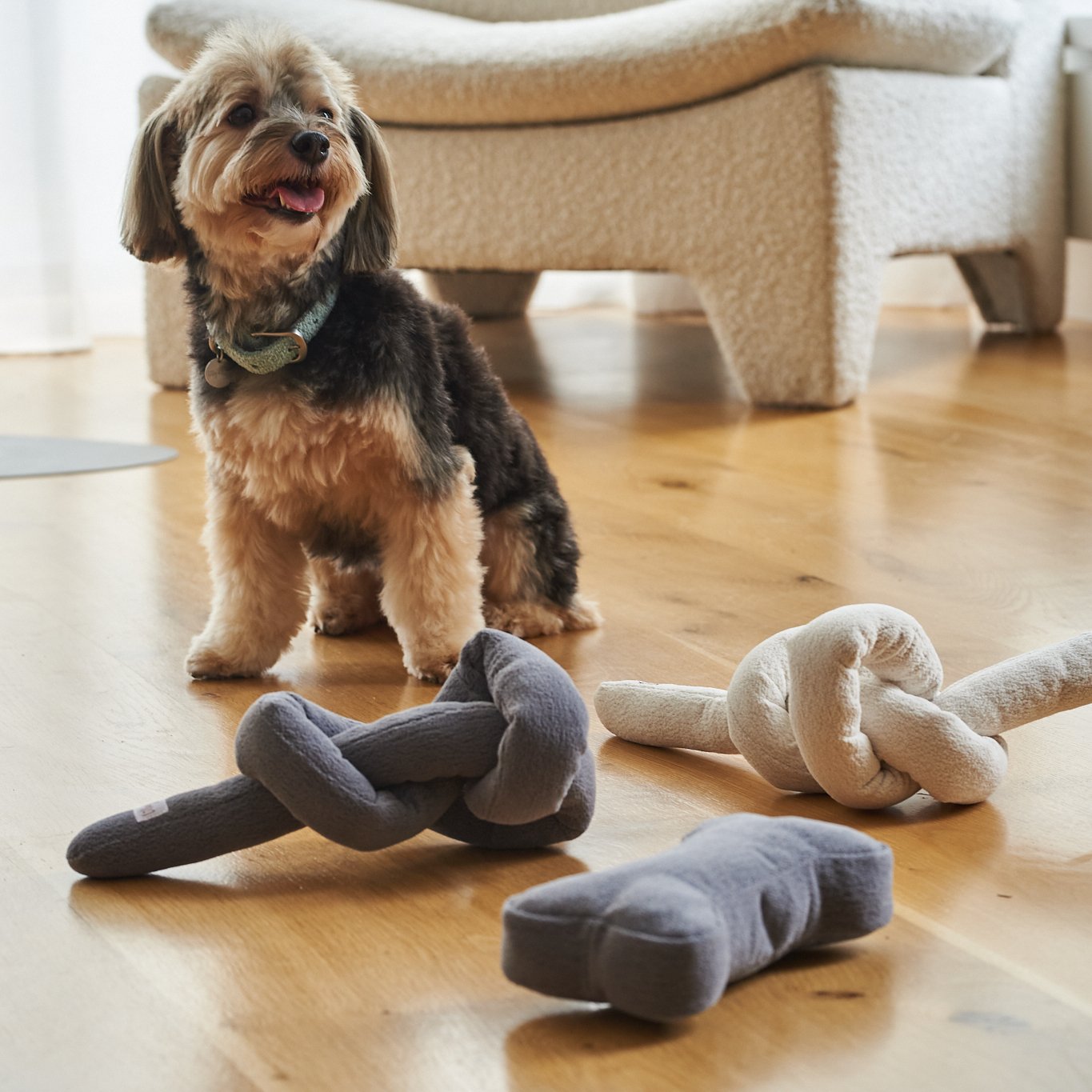 Osso Morbido Peluche in Bouclé